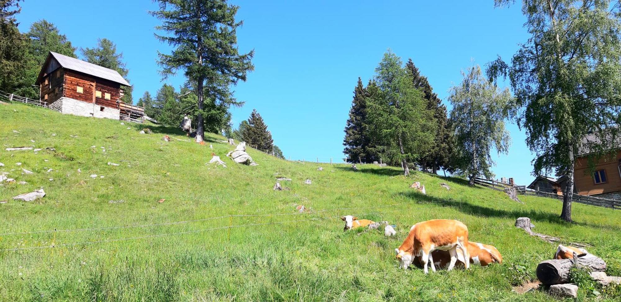 Panoramapension Platzer Unterkolbnitz Bagian luar foto