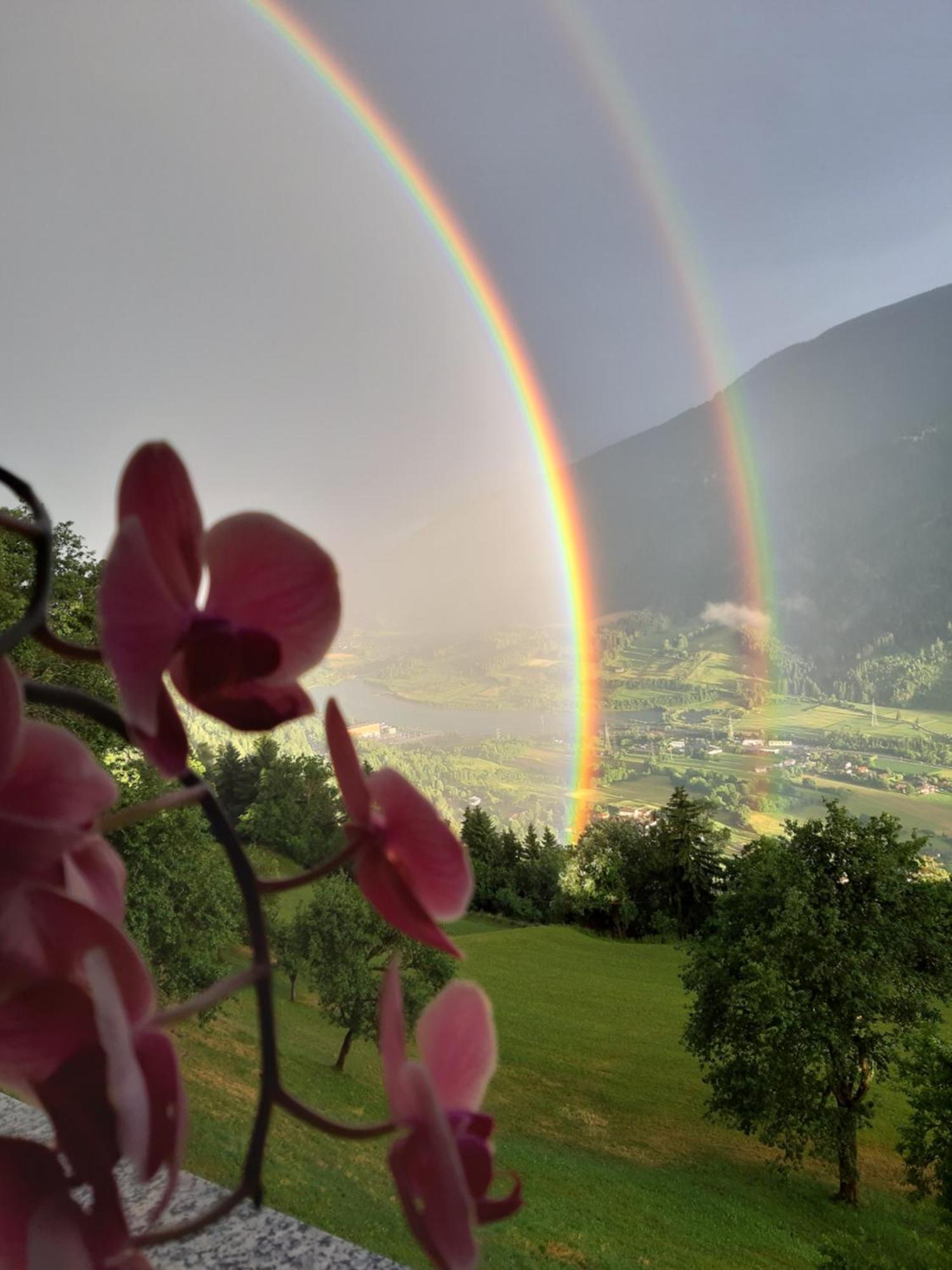 Panoramapension Platzer Unterkolbnitz Bagian luar foto