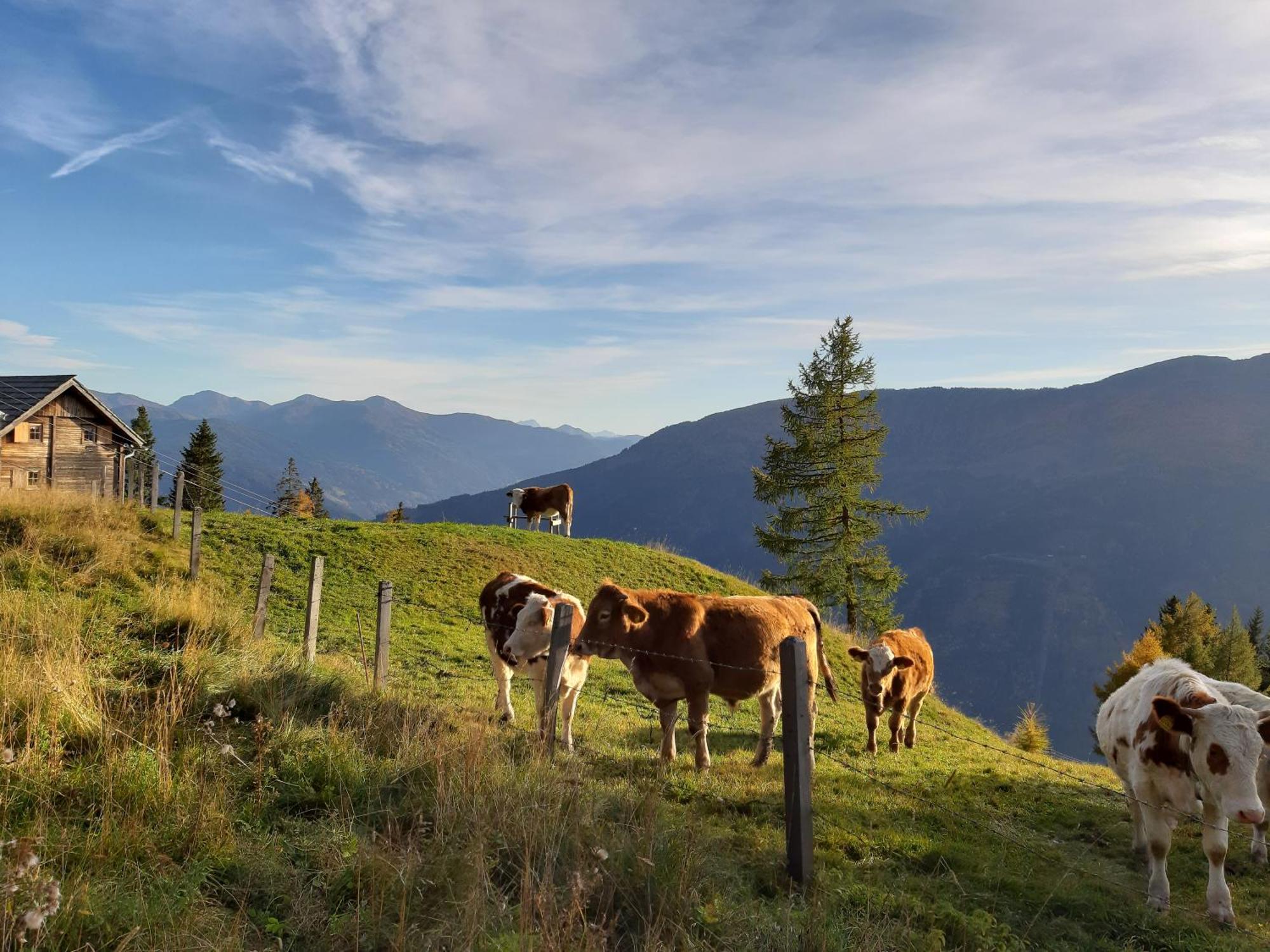 Panoramapension Platzer Unterkolbnitz Bagian luar foto