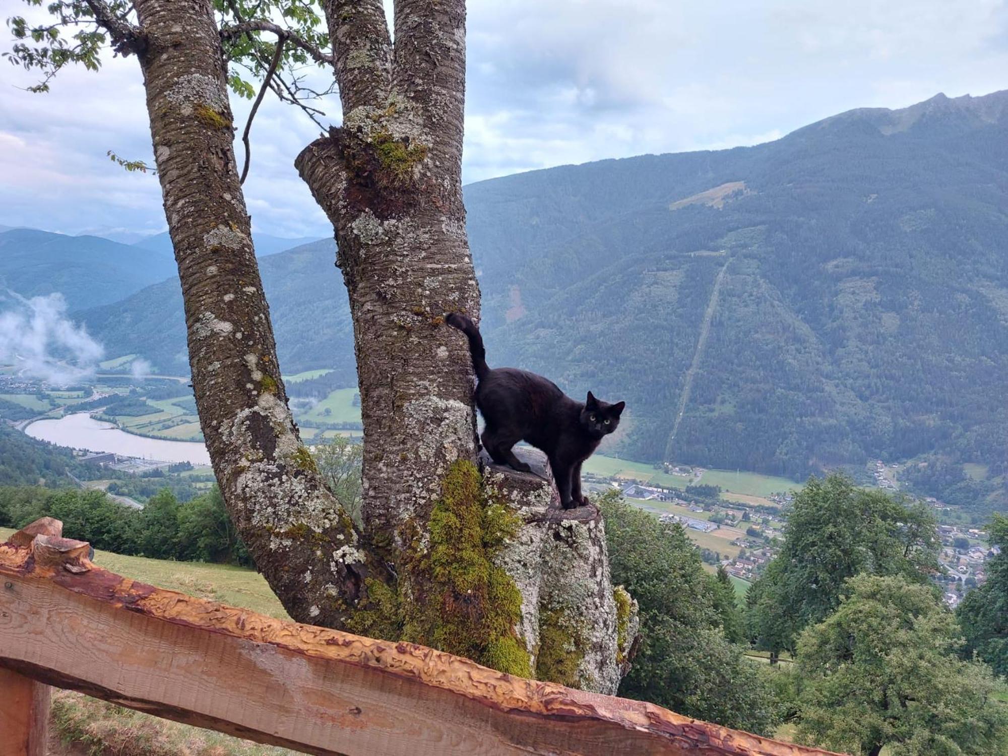 Panoramapension Platzer Unterkolbnitz Bagian luar foto